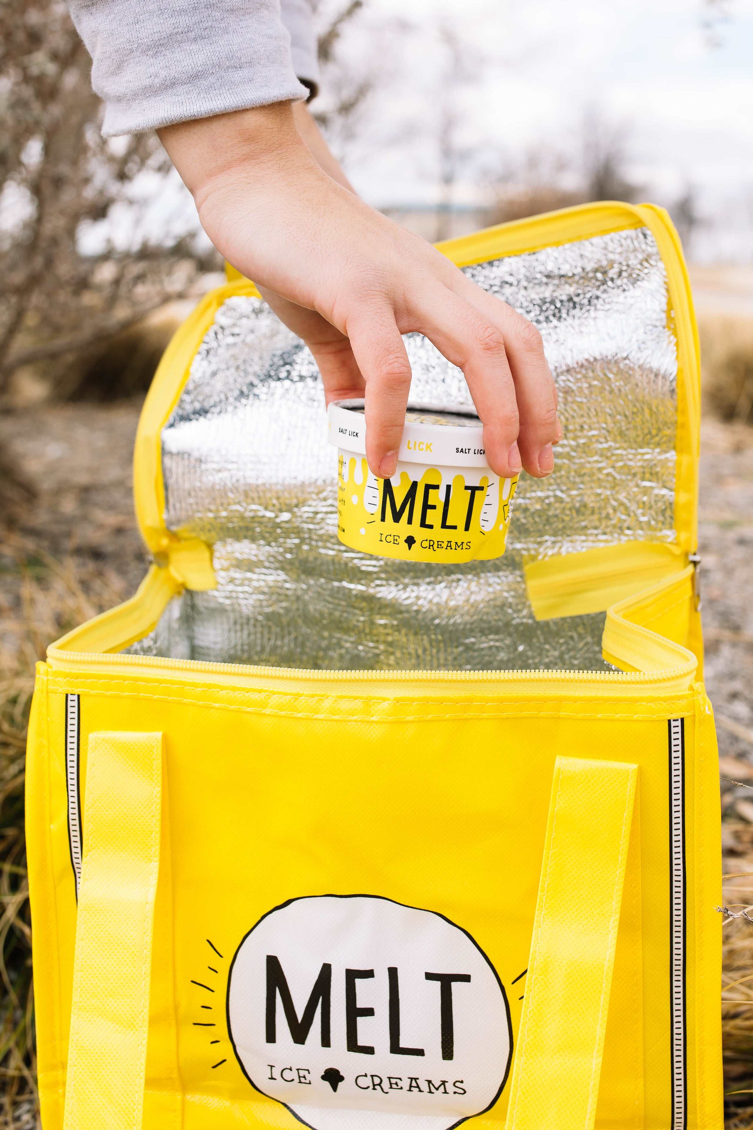 Freezer bag ice cream top